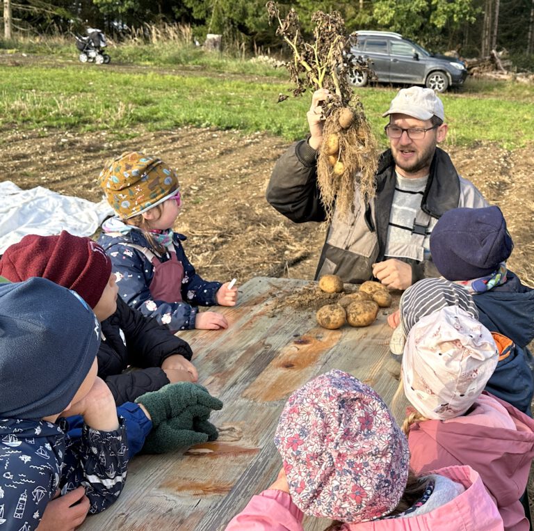 Ran an die Kartoffeln!